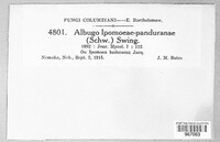 Image Associated With the Occurence